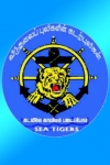 Sea Tigers